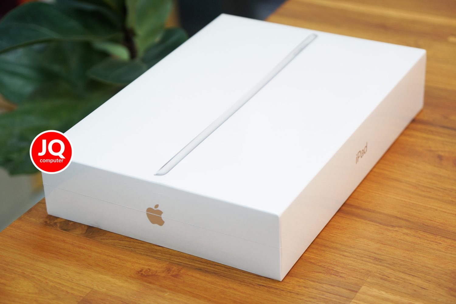 iPad 9 WiFi