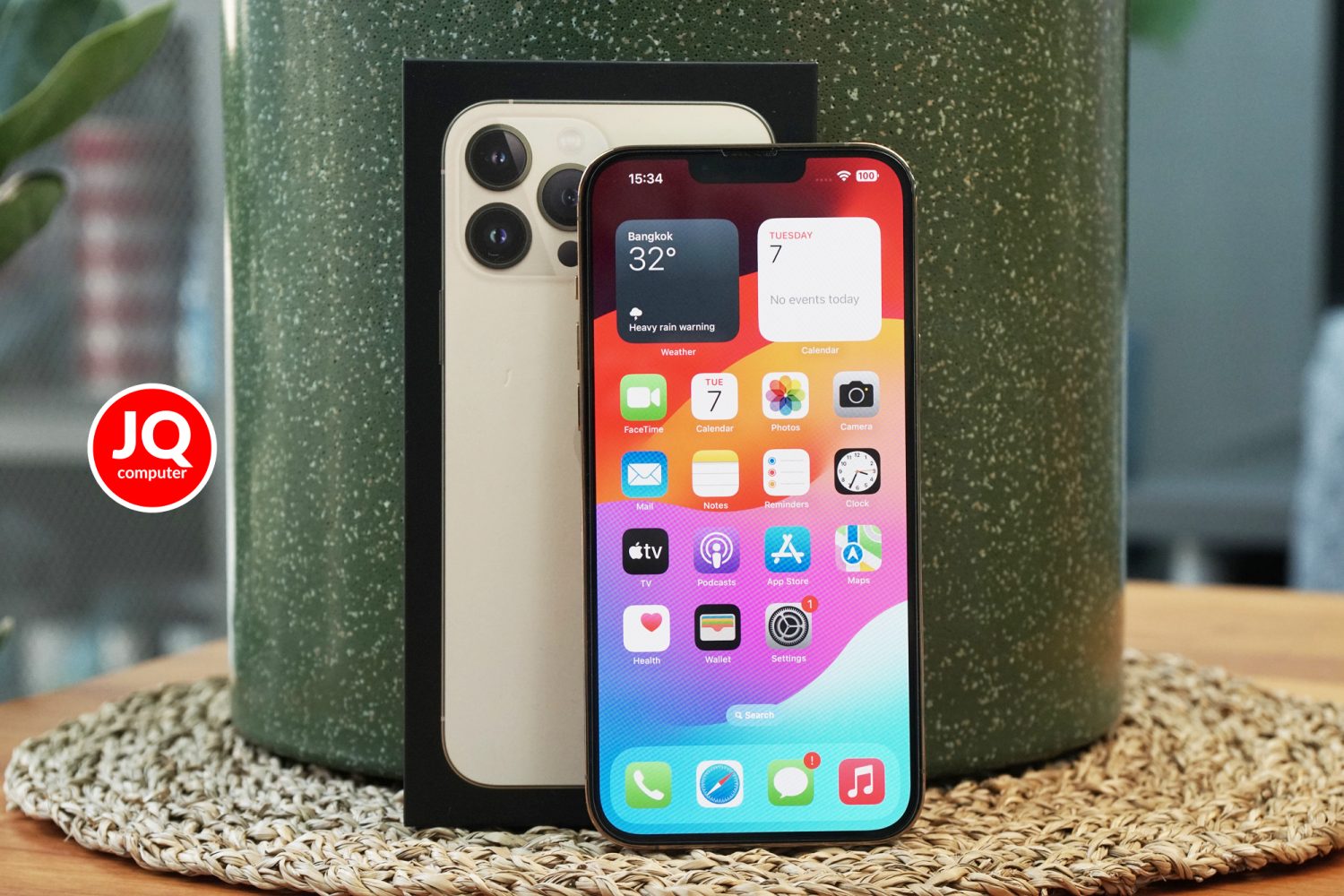 iPhone 13 Pro Max, 256 GB (Apple Care+)