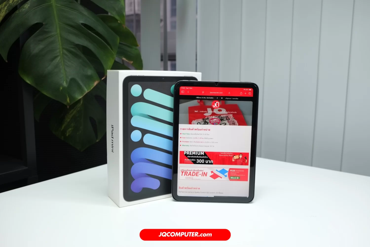 iPad mini 6 WiFi