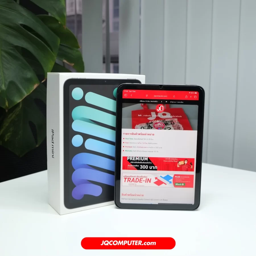 iPad mini 6 WiFi